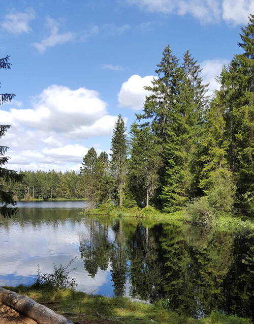 Saignelégier_Gruère