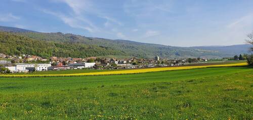 Cornaux