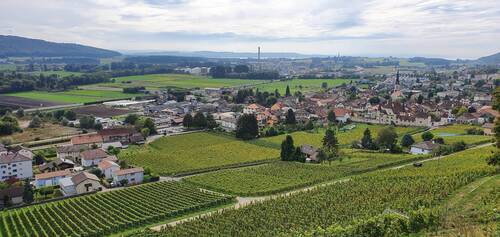 Cressier - Entre viticulture et industrie