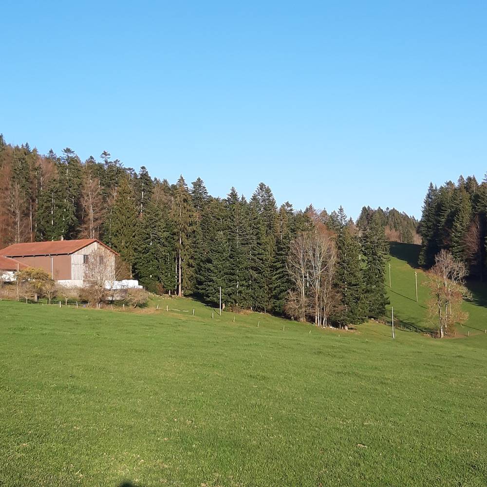 Alimentation en eau potable des Hauts du Locle et des Brenets