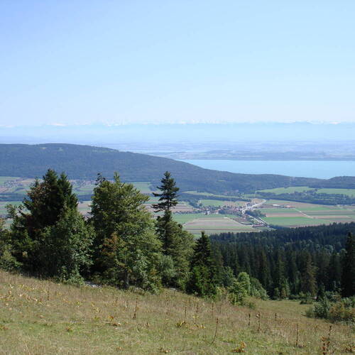 Val-de-Ruz élabore son nouveau plan d'aménagement local